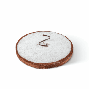 Tarte Choco-Coconut - Choco-Coconut Tart