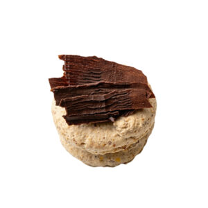 Succès au chocolat (dz)